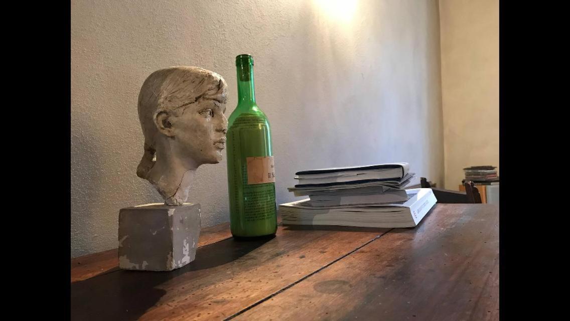 Casa Luminosa Con Giardino In Centro Storico Lejlighed Reggio Emilia Eksteriør billede
