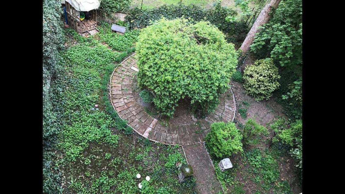 Casa Luminosa Con Giardino In Centro Storico Lejlighed Reggio Emilia Eksteriør billede